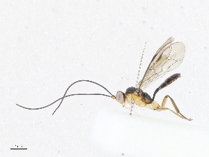  ( - CBG-A05412-D04)  @11 [ ] CreativeCommons - Attribution (2023) CBG Photography Group Centre for Biodiversity Genomics