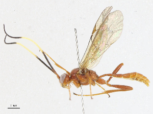  ( - CBG-A06218-E05)  @11 [ ] CreativeCommons - Attribution (2023) CBG Photography Group Centre for Biodiversity Genomics