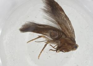  ( - CBG-A11714-F08)  @11 [ ] CreativeCommons - Attribution Share - Alike (2023) Centre for Biodiversity Genomics Centre for Biodiversity Genomics