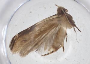  ( - CBG-A11720-E09)  @11 [ ] CreativeCommons - Attribution Share - Alike (2023) Centre for Biodiversity Genomics Centre for Biodiversity Genomics