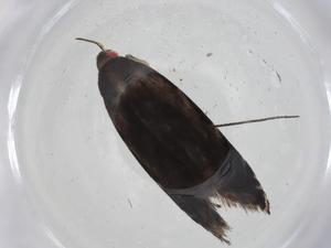  ( - CBG-A12882-E02)  @11 [ ] CreativeCommons - Attribution Share - Alike (2023) Centre for Biodiversity Genomics Centre for Biodiversity Genomics