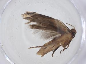  ( - CBG-A12905-C04)  @11 [ ] CreativeCommons - Attribution Share - Alike (2023) Centre for Biodiversity Genomics Centre for Biodiversity Genomics