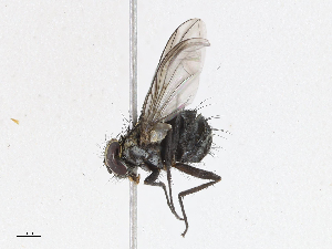  ( - CBG-A13200-F02)  @11 [ ] CreativeCommons - Attribution Share - Alike (2023) CBG Photography Group Centre for Biodiversity Genomics