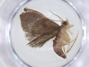  ( - CBG-A13823-E09)  @11 [ ] CreativeCommons - Attribution Share - Alike (2023) Centre for Biodiversity Genomics Centre for Biodiversity Genomics