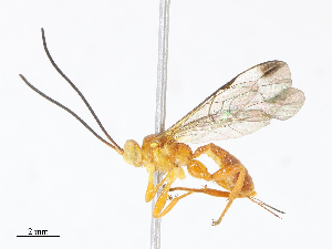  ( - CBG-A10810-G11)  @11 [ ] CreativeCommons - Attribution Share - Alike (2023) CBG Photography Group Centre for Biodiversity Genomics
