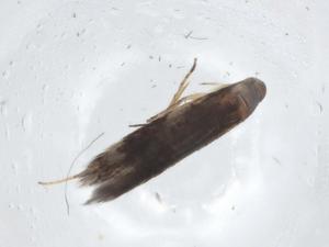  ( - CBG-A11865-F03)  @11 [ ] CreativeCommons - Attribution Share - Alike (2023) Centre for Biodiversity Genomics Centre for Biodiversity Genomics