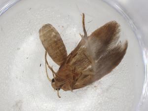  ( - CBG-A07207-D03)  @11 [ ] CreativeCommons - Attribution (2023) Centre for Biodiversity Genomics Centre for Biodiversity Genomics