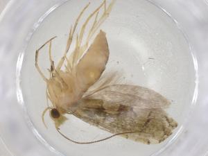  ( - CBG-A07207-E09)  @11 [ ] CreativeCommons - Attribution (2023) Centre for Biodiversity Genomics Centre for Biodiversity Genomics