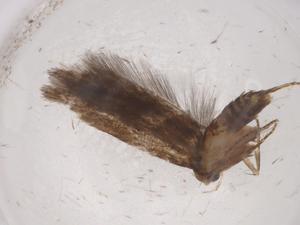  ( - CBG-A07214-A10)  @11 [ ] CreativeCommons - Attribution (2023) Centre for Biodiversity Genomics Centre for Biodiversity Genomics