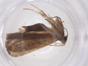  ( - CBG-A55583-A05)  @11 [ ] CreativeCommons - Attribution Share - Alike (2024) Centre for Biodiversity Genomics Centre for Biodiversity Genomics