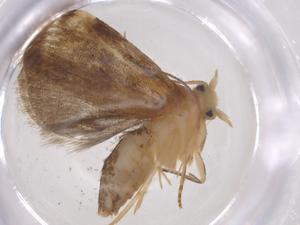  ( - CBG-A55608-F05)  @11 [ ] CreativeCommons - Attribution Share - Alike (2024) Centre for Biodiversity Genomics Centre for Biodiversity Genomics