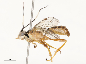  ( - CBG-A58569-F06)  @11 [ ] CreativeCommons - Attribution Share - Alike (2024) CBG Photography Group Centre for Biodiversity Genomics