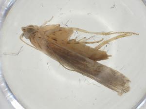  ( - CBG-A34037-E05)  @11 [ ] CreativeCommons - Attribution Share - Alike (2024) Centre for Biodiversity Genomics Centre for Biodiversity Genomics