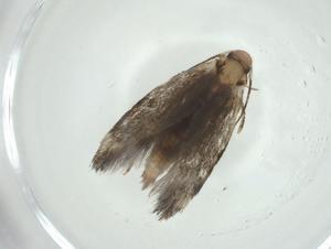  ( - CBG-A34660-E11)  @11 [ ] CreativeCommons - Attribution Share - Alike (2024) Centre for Biodiversity Genomics Centre for Biodiversity Genomics