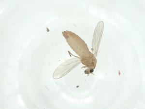  ( - CBG-A35549-G01)  @11 [ ] CreativeCommons - Attribution Share - Alike (2024) Centre for Biodiversity Genomics Centre for Biodiversity Genomics