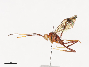  ( - CBG-A40188-A10)  @11 [ ] CreativeCommons - Attribution Share - Alike (2024) CBG Photography Group Centre for Biodiversity Genomics