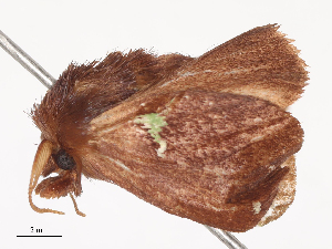  ( - CBG-A40204-F05)  @11 [ ] CreativeCommons - Attribution Share - Alike (2024) CBG Photography Group Centre for Biodiversity Genomics