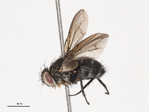  ( - CBG-A40233-D12)  @11 [ ] CreativeCommons - Attribution Share - Alike (2024) CBG Photography Group Centre for Biodiversity Genomics