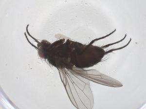  ( - CBG-A40831-G07)  @11 [ ] CreativeCommons - Attribution Share - Alike (2024) Centre for Biodiversity Genomics Centre for Biodiversity Genomics