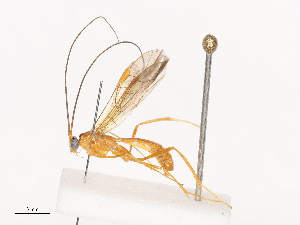  ( - CBG-A41839-G05)  @11 [ ] CreativeCommons - Attribution Share - Alike (2024) CBG Photography Group Centre for Biodiversity Genomics
