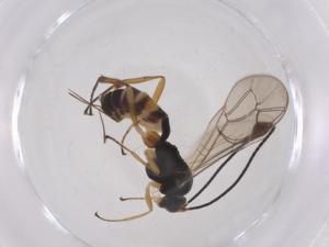  ( - CBG-A42358-B06)  @11 [ ] CreativeCommons - Attribution Share - Alike (2024) Centre for Biodiversity Genomics Centre for Biodiversity Genomics