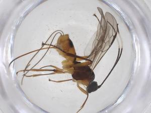  ( - CBG-A43188-F05)  @11 [ ] CreativeCommons - Attribution Share - Alike (2024) Centre for Biodiversity Genomics Centre for Biodiversity Genomics