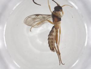  ( - CBG-A36544-B08)  @11 [ ] CreativeCommons - Attribution Share - Alike (2024) Centre for Biodiversity Genomics Centre for Biodiversity Genomics