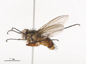  ( - CBG-A40080-C07)  @11 [ ] CreativeCommons - Attribution Share - Alike (2024) CBG Photography Group Centre for Biodiversity Genomics