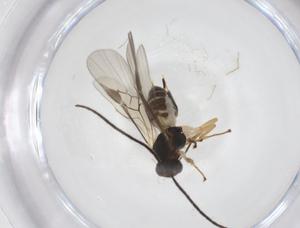  ( - CBG-A58408-F04)  @11 [ ] CreativeCommons - Attribution Share - Alike (2024) Centre for Biodiversity Genomics Centre for Biodiversity Genomics