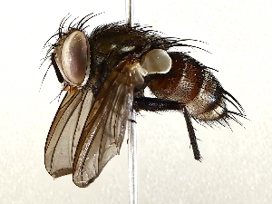  ( - BIOUG62728-H05)  @11 [ ] CreativeCommons - Attribution (2022) CBG Photography Group Centre for Biodiversity Genomics