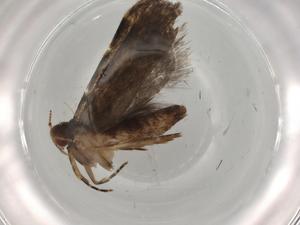  ( - BIOUG75177-D01)  @11 [ ] CreativeCommons - Attribution (2022) Centre for Biodiversity Genomics Centre for Biodiversity Genomics