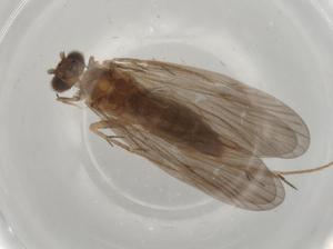  ( - BIOUG75180-E01)  @11 [ ] CreativeCommons - Attribution (2022) Centre for Biodiversity Genomics Centre for Biodiversity Genomics