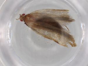  ( - BIOUG76289-E03)  @11 [ ] CreativeCommons - Attribution (2022) Centre for Biodiversity Genomics Centre for Biodiversity Genomics