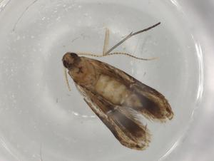  ( - BIOUG76714-E02)  @11 [ ] CreativeCommons - Attribution (2022) Centre for Biodiversity Genomics Centre for Biodiversity Genomics