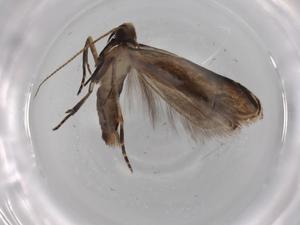  ( - BIOUG76746-B01)  @11 [ ] CreativeCommons - Attribution (2022) Centre for Biodiversity Genomics Centre for Biodiversity Genomics