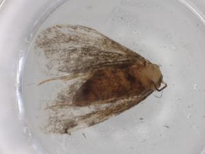  ( - BIOUG76775-A08)  @11 [ ] CreativeCommons - Attribution (2022) Centre for Biodiversity Genomics Centre for Biodiversity Genomics