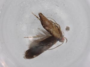  ( - BIOUG76775-B04)  @11 [ ] CreativeCommons - Attribution (2022) Centre for Biodiversity Genomics Centre for Biodiversity Genomics