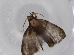  ( - BIOUG76775-C07)  @11 [ ] CreativeCommons - Attribution (2022) Centre for Biodiversity Genomics Centre for Biodiversity Genomics