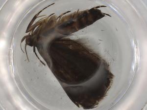  ( - BIOUG76822-C02)  @11 [ ] CreativeCommons - Attribution (2022) Centre for Biodiversity Genomics Centre for Biodiversity Genomics