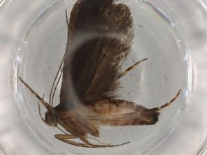  ( - BIOUG76963-B03)  @11 [ ] CreativeCommons - Attribution (2022) Centre for Biodiversity Genomics Centre for Biodiversity Genomics