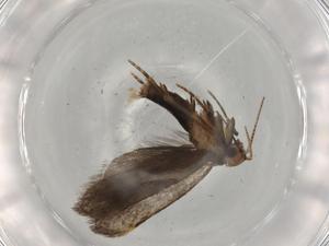  ( - BIOUG76963-C05)  @11 [ ] CreativeCommons - Attribution (2022) Centre for Biodiversity Genomics Centre for Biodiversity Genomics