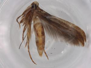  ( - BIOUG77618-G02)  @11 [ ] CreativeCommons - Attribution (2022) Centre for Biodiversity Genomics Centre for Biodiversity Genomics