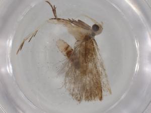  ( - BIOUG82053-E10)  @11 [ ] CreativeCommons - Attribution (2022) Centre for Biodiversity Genomics Centre for Biodiversity Genomics