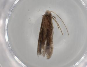  ( - BIOUG82210-G05)  @11 [ ] CreativeCommons - Attribution (2022) Centre for Biodiversity Genomics Centre for Biodiversity Genomics