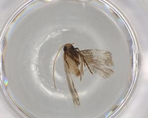  ( - BIOUG82211-D04)  @11 [ ] CreativeCommons - Attribution (2022) Centre for Biodiversity Genomics Centre for Biodiversity Genomics