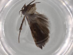  ( - BIOUG82089-E01)  @11 [ ] CreativeCommons - Attribution (2022) Centre for Biodiversity Genomics Centre for Biodiversity Genomics