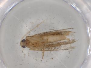  ( - BIOUG82264-C08)  @11 [ ] CreativeCommons - Attribution (2022) Centre for Biodiversity Genomics Centre for Biodiversity Genomics