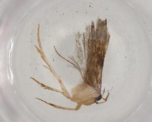  ( - BIOUG82441-E08)  @11 [ ] CreativeCommons - Attribution (2022) Centre for Biodiversity Genomics Centre for Biodiversity Genomics