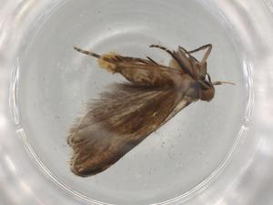  ( - BIOUG82483-D12)  @11 [ ] CreativeCommons - Attribution (2022) Centre for Biodiversity Genomics Centre for Biodiversity Genomics