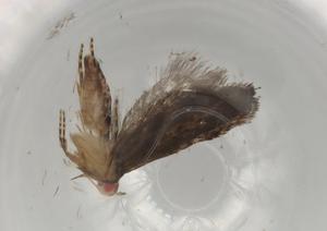  ( - BIOUG82607-B12)  @11 [ ] CreativeCommons - Attribution (2022) Centre for Biodiversity Genomics Centre for Biodiversity Genomics